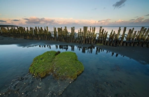 Reflecting the remants of human activity along the Waddensea in the Netherlands Reflecting the remants of human activity along the Waddensea in the Netherlands
