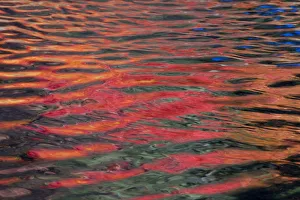 Reflection on Rogue River in autumn, Oregon, USA Reflection on Rogue River in autumn, Oregon, USA