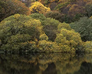 Reflections in a lake, autumn mood, Connemara, County Galway, Ireland Reflections in a lake, autumn mood, Connemara, County Galway, Ireland