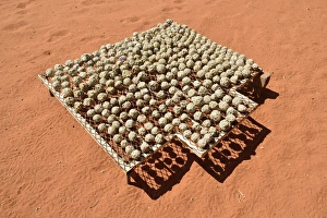 Renewable energy, balls of recycled paper, papier mache, paper mache, drying in the sun Renewable energy, balls of recycled paper, papier mache, paper mache, drying in the sun