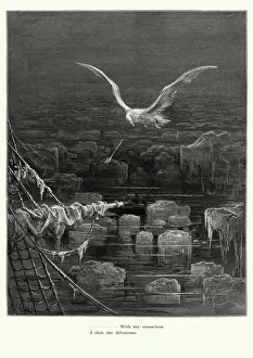 Art/gustave dore 1832 1883/rime ancient mariner i shot albatross Art/gustave dore 1832 1883/rime ancient mariner i shot albatross