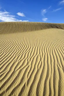 Ripples in sand, Mesquite Flat Sand Dunes, Death Valley National Park, California, USA Ripples in sand, Mesquite Flat Sand Dunes, Death Valley National Park, California, USA
