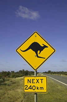 Roadside sign of kangaroos crossing, Australia Roadside sign of kangaroos crossing, Australia