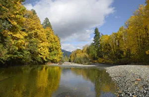 Robertson River leading into Cowichan Lake in fall, Cowichan Valley, Vancouver Island Robertson River leading into Cowichan Lake in fall, Cowichan Valley, Vancouver Island