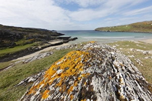 Rock with lichens, Barleycove, Mizen Head Peninsula, West Cork, Republic of Ireland Rock with lichens, Barleycove, Mizen Head Peninsula, West Cork, Republic of Ireland