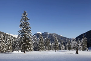 Rohntal avlley in winter, Hinterriss, Tyrol, Austria Rohntal avlley in winter, Hinterriss, Tyrol, Austria