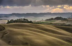 Wheat Field Photography Europe Prints: Rolling hills, cornfields at dusk, Villamagna, Tuscany, Italy, Europe