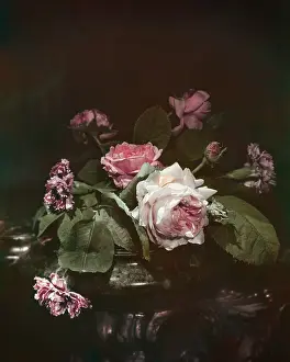 Vintage Flower Arrangements Prints: Roses And Carnations