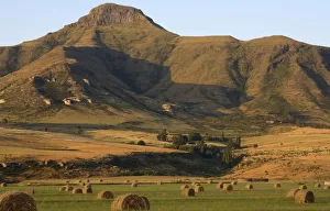 Round Hay Bales in Field with Maluti Mountain Range Behind Round Hay Bales in Field with Maluti Mountain Range Behind