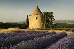 Round tower, lavender, Sault in Provence, France Round tower, lavender, Sault in Provence, France