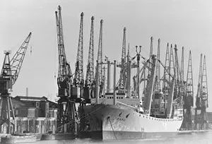 Images Dated 1980: Royal Albert Docks Print 12th February 1980