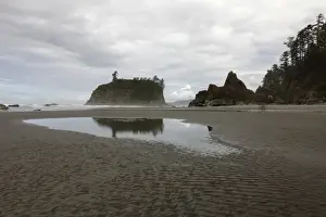 American Wilderness Prints: Ruby Beach, Forks, Olympic Peninsula, Washington, USA