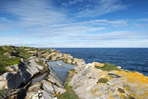 Rugged coastline on the Moray Firth at Tarbat Ness, Scotland, United Kingdom, Europe Rugged coastline on the Moray Firth at Tarbat Ness, Scotland, United Kingdom, Europe