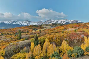 Collections/gallo image collection gallo landscapes/san juan mountains dallas divide autumn light Collections/gallo image collection gallo landscapes/san juan mountains dallas divide autumn light