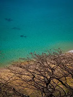 Horizon Over Water Images Prints: Sancho Beach