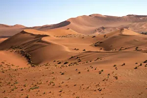 Sand dunes, Sossusvlei, Namib Desert, Namib Naukluft Park, Namibia Sand dunes, Sossusvlei, Namib Desert, Namib Naukluft Park, Namibia