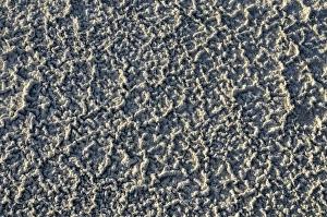 Sand pattern with salt deposits, bank of the Great Salt Lake, Salt Lake City, Utah, USA Sand pattern with salt deposits, bank of the Great Salt Lake, Salt Lake City, Utah, USA