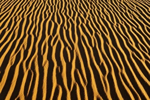 Sand patterns on a dune, In Tehak region, Acacus Mountains or Tadrart Acacus range Sand patterns on a dune, In Tehak region, Acacus Mountains or Tadrart Acacus range