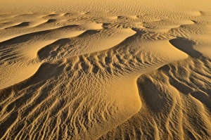 Sand structure, sand dune near Tehenadou, Adrar nAhnet, Adrar Ahnet, Algeria, Sahara Sand structure, sand dune near Tehenadou, Adrar nAhnet, Adrar Ahnet, Algeria, Sahara