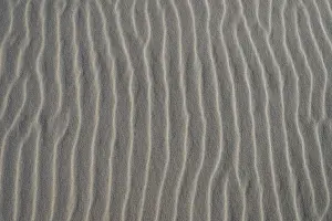 High Angle View Of Sand Dunes Prints: Sand structure, wind ripples, beach, Denmark