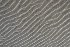 Denmark Coastal Scenery Prints: Sand structure, wind ripples, beach, Denmark