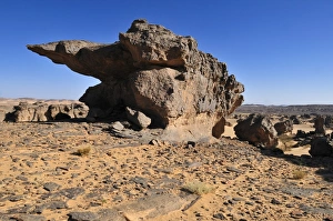 Sandstone rock formation on Tasset Plateau, Tassili n'Ajjer National Park Sandstone rock formation on Tasset Plateau, Tassili n'Ajjer National Park