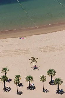 The sandy beach of Playa de las Teresitas with palm trees, birds eye view, San Andres The sandy beach of Playa de las Teresitas with palm trees, birds eye view, San Andres