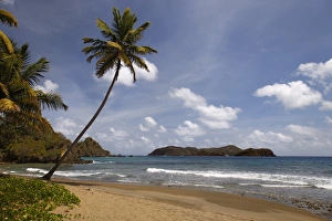 Sandy beach with surf, Little Tobago, Trinidad and Tobago Sandy beach with surf, Little Tobago, Trinidad and Tobago