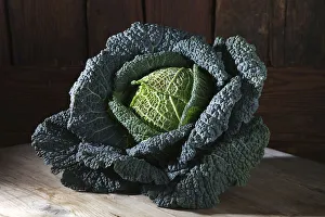 Savoy cabbage -Brassica oleracea convar. Capitata var. sabauda L.-, on a rustic wooden surface Savoy cabbage -Brassica oleracea convar. Capitata var. sabauda L.-, on a rustic wooden surface
