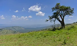 Scenic view, Akagera National Park, Parc National de lAkagera, Eastern Province, Rwanda Scenic view, Akagera National Park, Parc National de lAkagera, Eastern Province, Rwanda