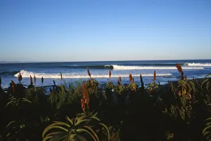 Scenic View of the Ocean with Waves Breaking on Beach Scenic View of the Ocean with Waves Breaking on Beach