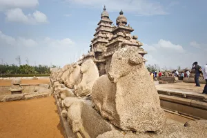 Sculptures of Nandi Bull around ancient Shore Temple at Mahabalipuram, Kanchipuram District, Tamil Nadu, India Sculptures of Nandi Bull around ancient Shore Temple at Mahabalipuram, Kanchipuram District, Tamil Nadu, India