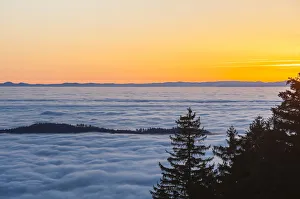 Sea of ??clouds, forest, Seebach, Nordschwarzwald, Schwarzwald, Baden-Wurttemberg, Germany Sea of ??clouds, forest, Seebach, Nordschwarzwald, Schwarzwald, Baden-Wurttemberg, Germany
