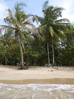 Secluded beach, Punta Uva, Puerto Viejo de Talamanca, Costa Rica, Central America Secluded beach, Punta Uva, Puerto Viejo de Talamanca, Costa Rica, Central America