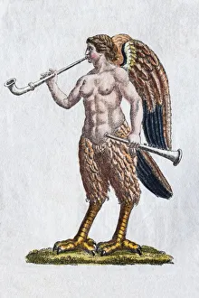 Siren, hand - colored copper engraving from Friedrich Justin Bertuch Picture book for Siren, hand - colored copper engraving from Friedrich Justin Bertuch Picture book for