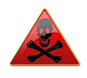 Skull and Crossbones Print