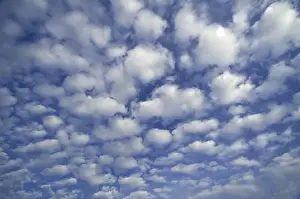Cloud Formations In Nature Prints: Small fluffy clouds, Cirrocumulus