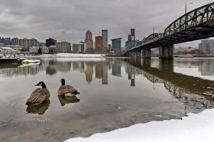Snow along banks of Willamette River Snow along banks of Willamette River