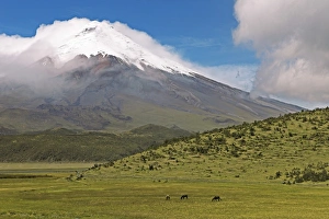 Snow-covered summit of Cotopaxi volcano rises from a cloud cover, Cotopaxi National Park Snow-covered summit of Cotopaxi volcano rises from a cloud cover, Cotopaxi National Park