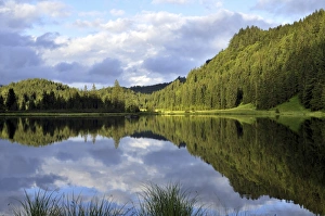 Spechtensee lake, reflections of a forested hill in the water Spechtensee lake, reflections of a forested hill in the water
