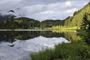 Spechtensee, reflections of forested hills in the water Spechtensee, reflections of forested hills in the water