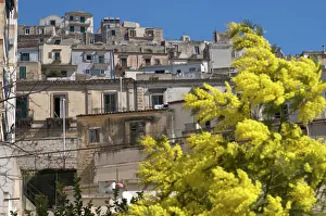 Spring time in Modica Italy