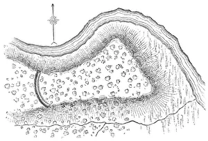 Squier Map of Indian Hill Fort near Minden in Montgomery County, New York, USA Squier Map of Indian Hill Fort near Minden in Montgomery County, New York, USA