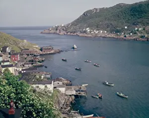Newfoundland Coastline Prints: St. John s