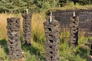 Stacks of peat sods left or drying in the traditional manner, Grundbeckenmoor Rosenheim Stacks of peat sods left or drying in the traditional manner, Grundbeckenmoor Rosenheim