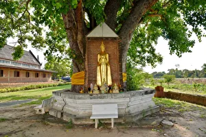 Standing Buddha statue Wat Phukhao Thong temple Ayutthaya Thailand Standing Buddha statue Wat Phukhao Thong temple Ayutthaya Thailand