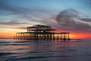 Starling Murmuration at Brightons West Pier in England Starling Murmuration at Brightons West Pier in England