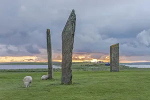 Stones of Stenness, Orkney Island, Scotland, UK Stones of Stenness, Orkney Island, Scotland, UK