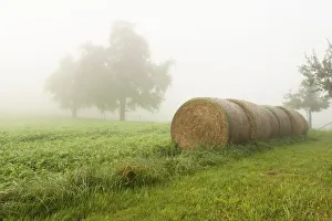 Straw bales in a field in autumn, Ueberlingen, Lake Constance, Baden-Wuerttemberg Straw bales in a field in autumn, Ueberlingen, Lake Constance, Baden-Wuerttemberg