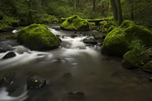 Long Exposure Water Photography Prints: Stream, Strohner Schweiz, Daun, Vulkaneifel, Rhineland-Palatinate, Germany
